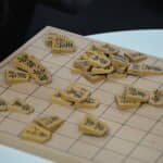 The variety of Shogi pieces